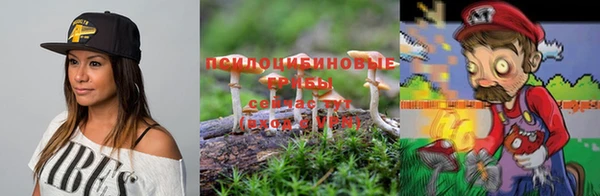 дживик Тавда