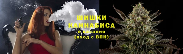 дживик Тавда