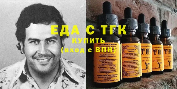крисы Тайга