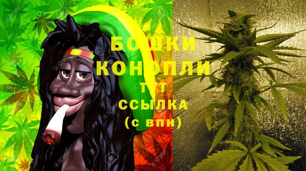 гидропоника Горнозаводск